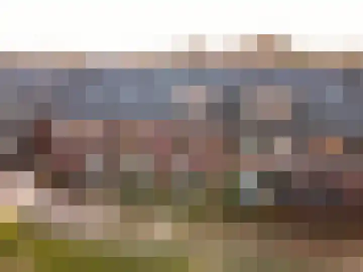 Windvang 25 Elburg thumbnail 37