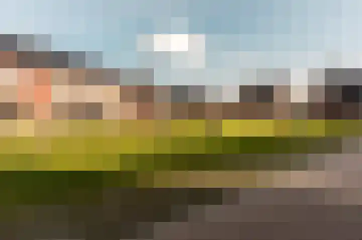 Windvang 25 Elburg thumbnail 5
