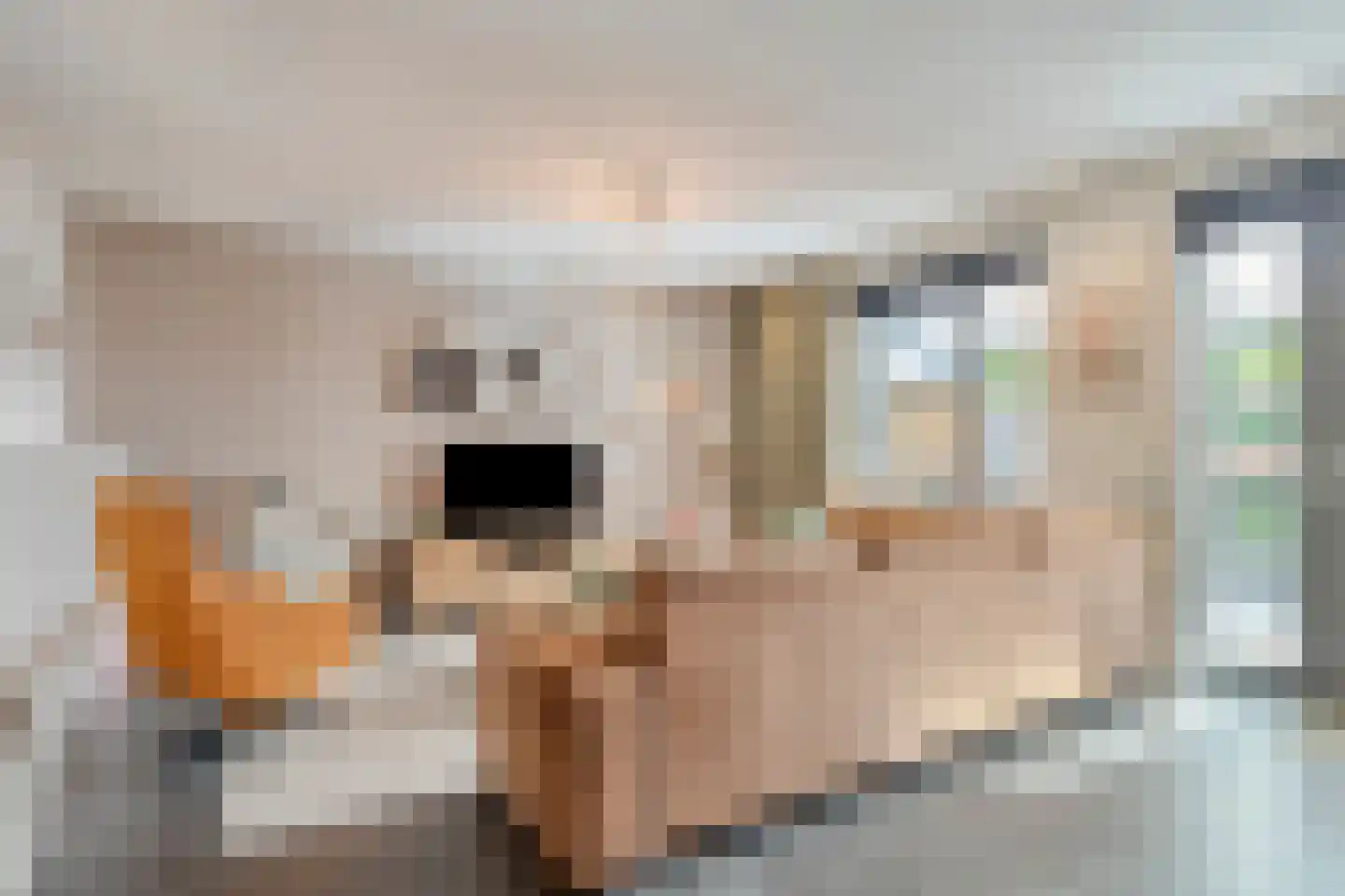 Windvang 4 Mierlo thumbnail 13