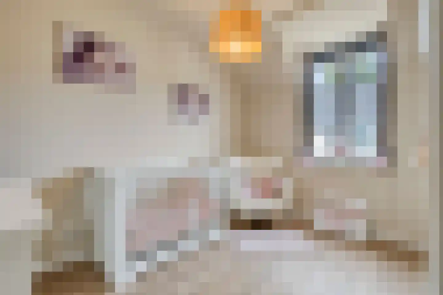 Windvang 4 Mierlo thumbnail 23