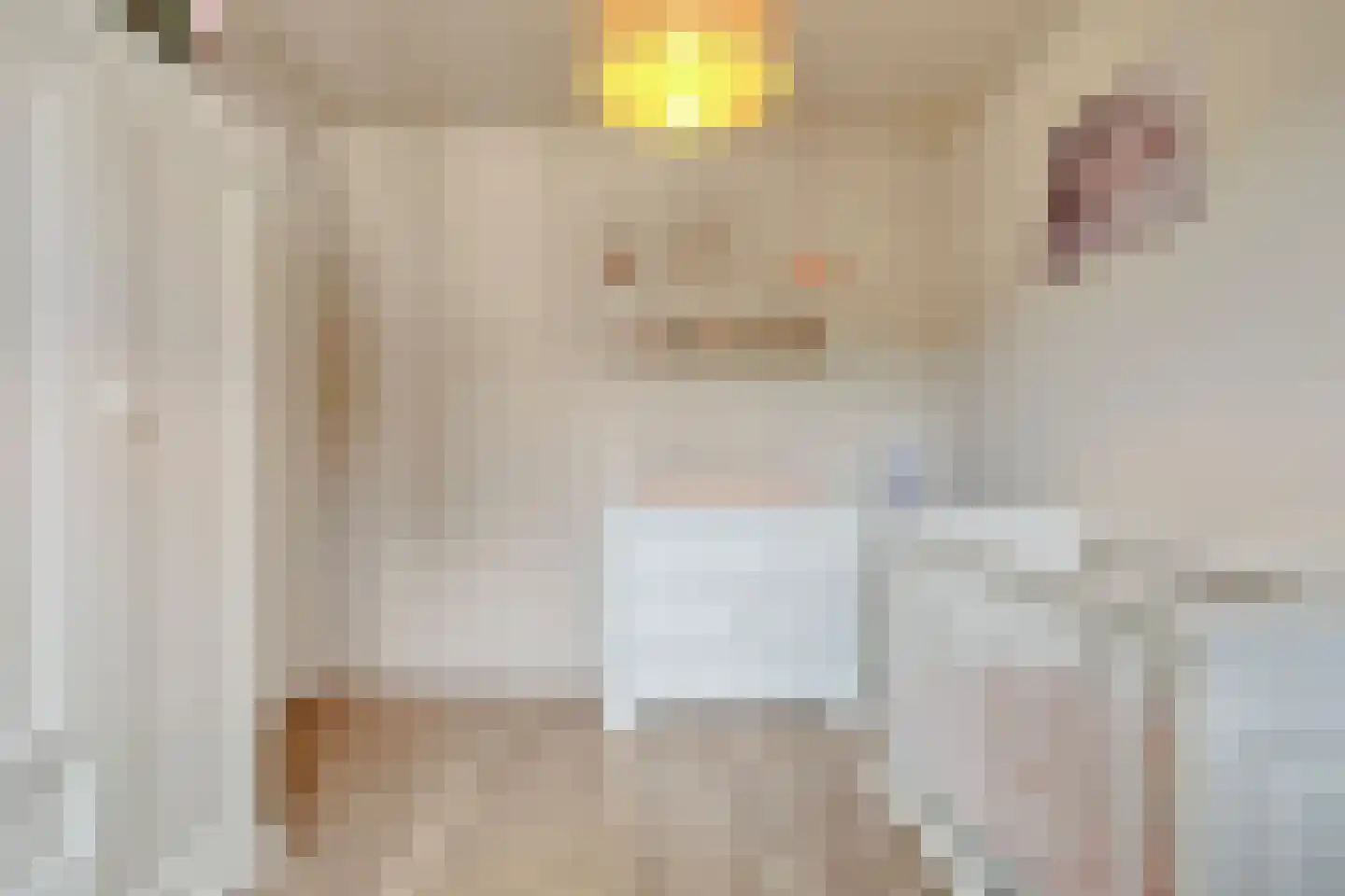 Windvang 4 Mierlo thumbnail 24