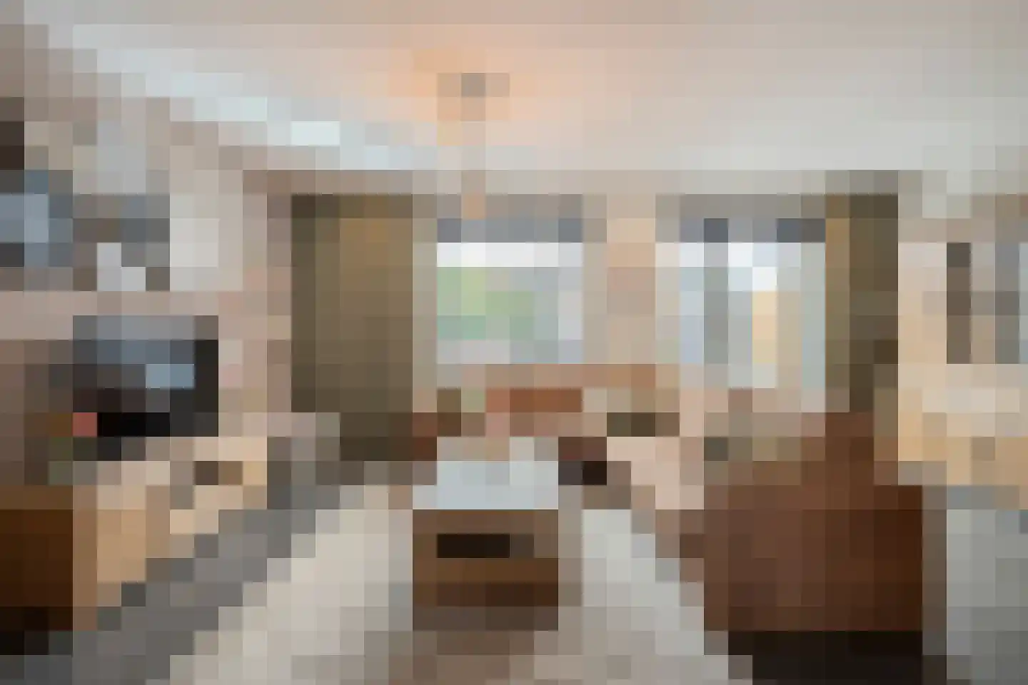 Windvang 4 Mierlo thumbnail 4