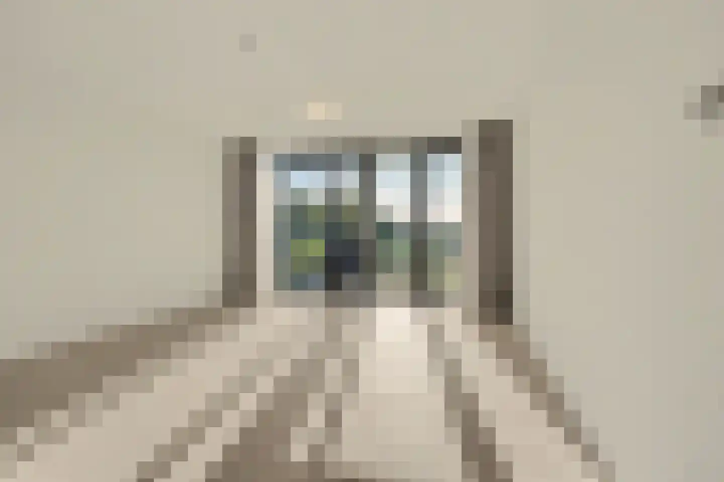 Windvang 6 A Reusel thumbnail 13