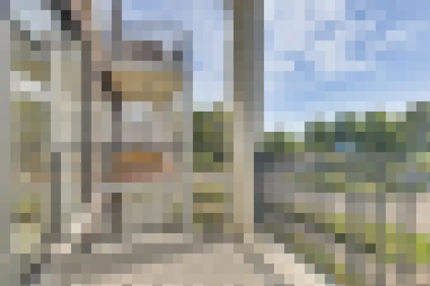Windvang 6 A Reusel thumbnail 23
