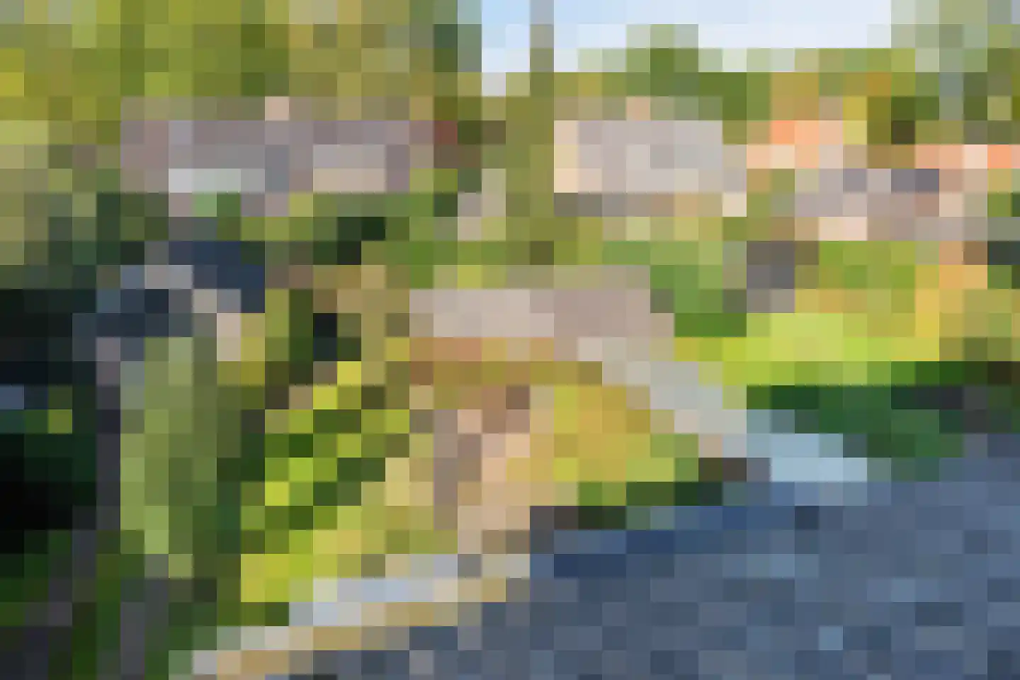 Windvang 7 Blaricum thumbnail 11