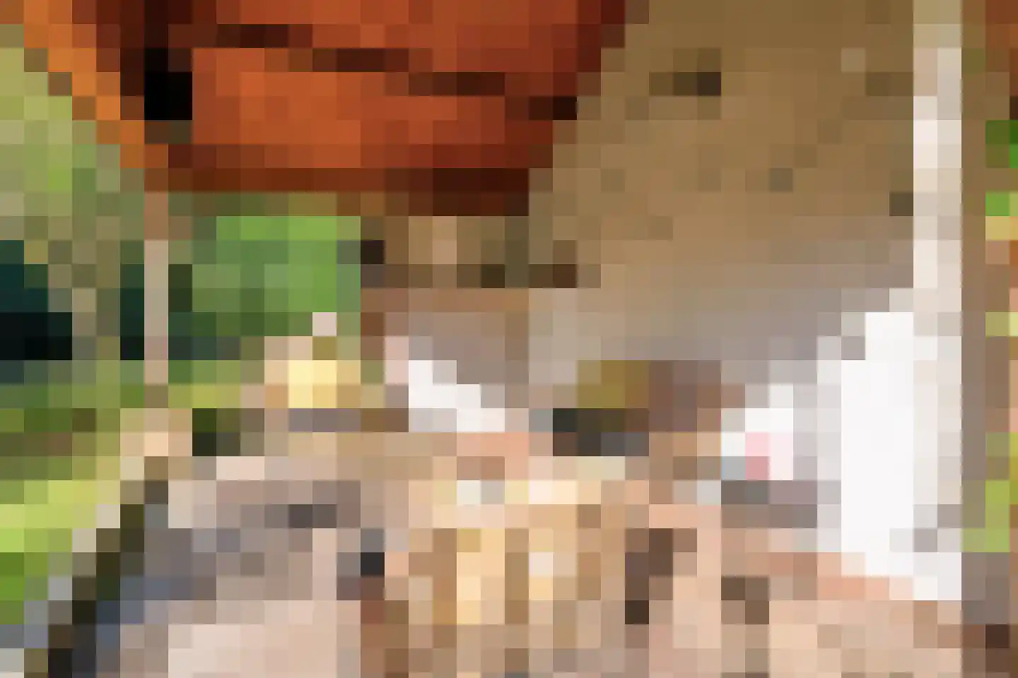 Windvang 7 Blaricum thumbnail 12