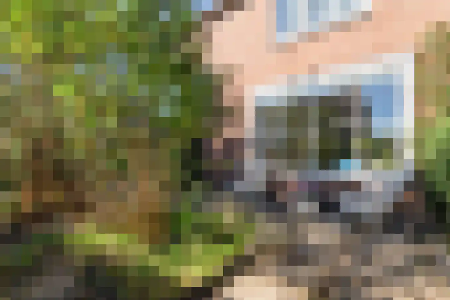 Windvang 7 Blaricum thumbnail 13