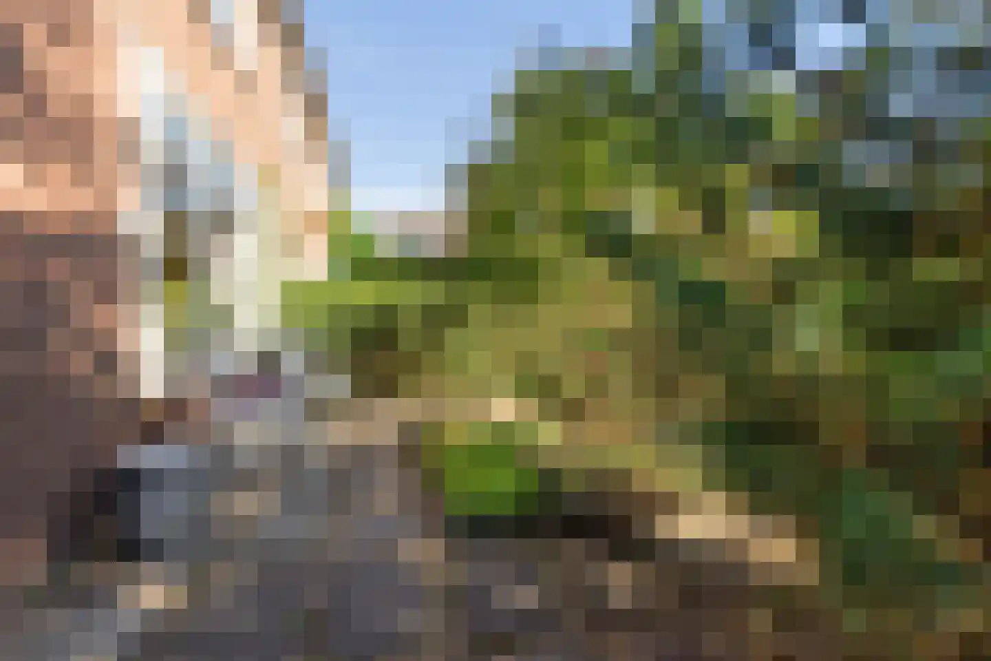 Windvang 7 Blaricum thumbnail 14