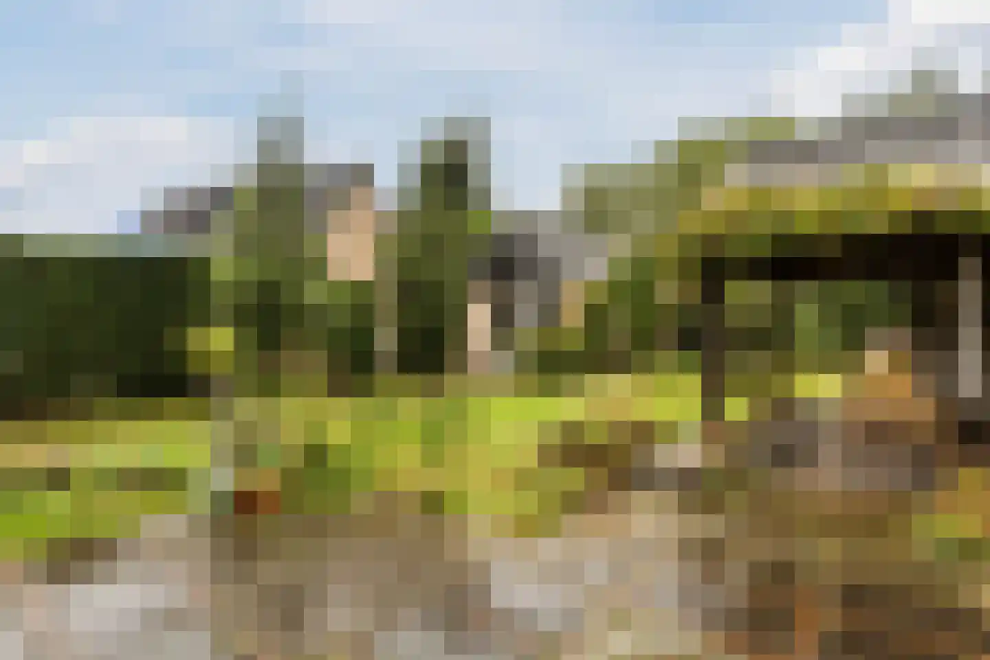 Windvang 7 Blaricum thumbnail 53