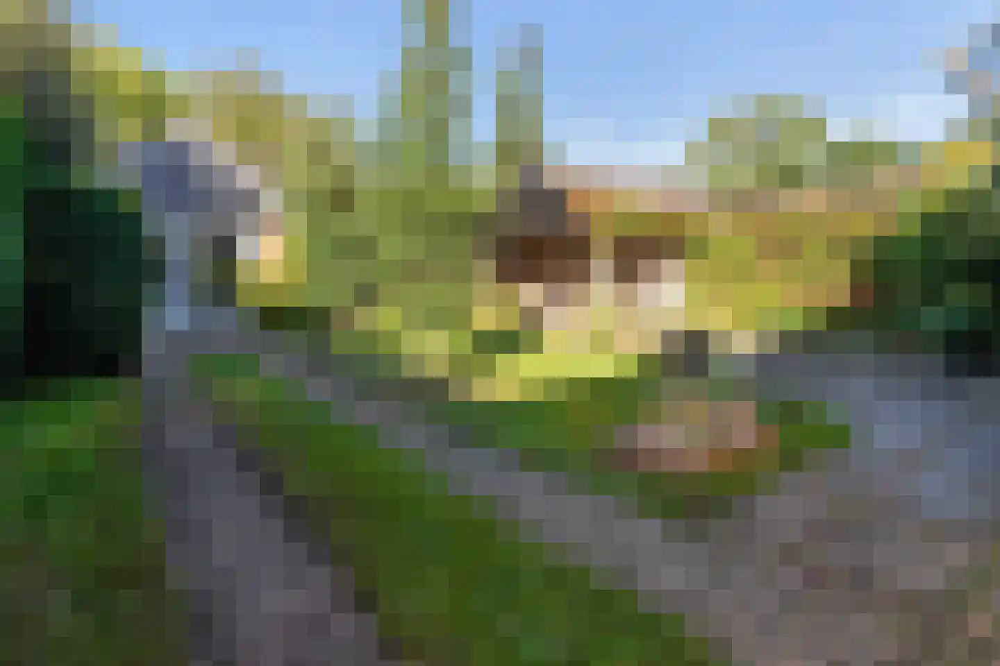 Windvang 7 Blaricum thumbnail 55