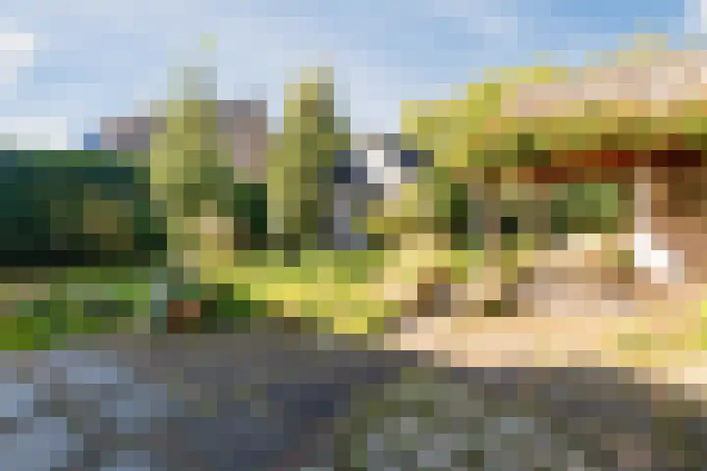Windvang 7 Blaricum thumbnail 58