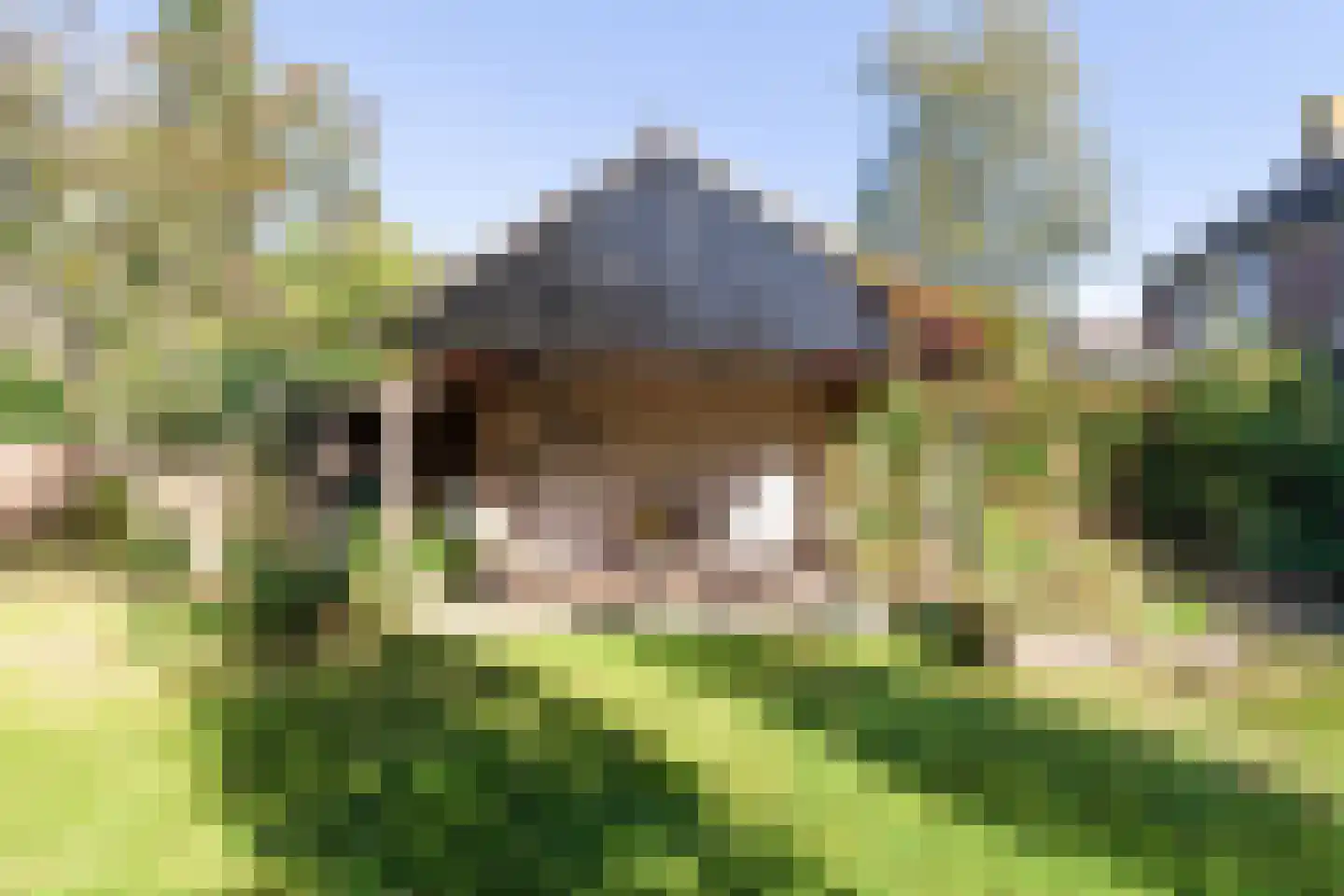 Windvang 7 Blaricum thumbnail 60