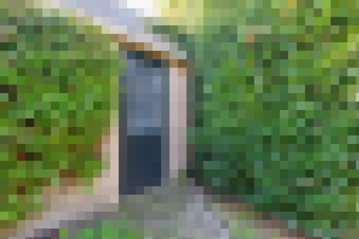Windvang 7 Blaricum thumbnail 61