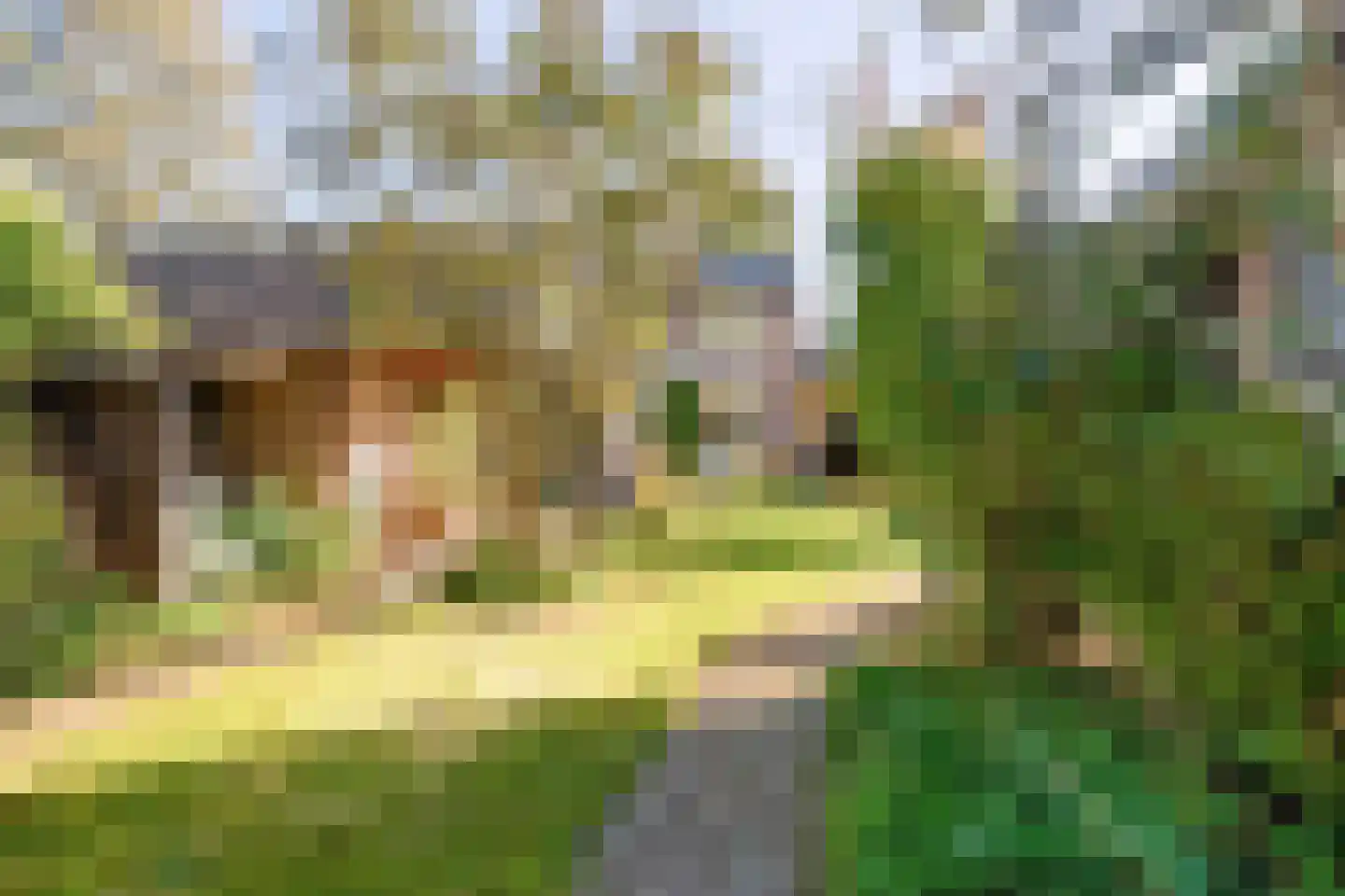 Windvang 7 Blaricum thumbnail 63