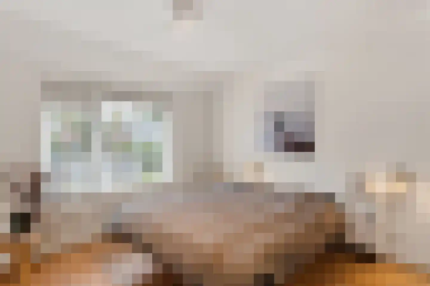 Windvang 7 Blaricum thumbnail 7