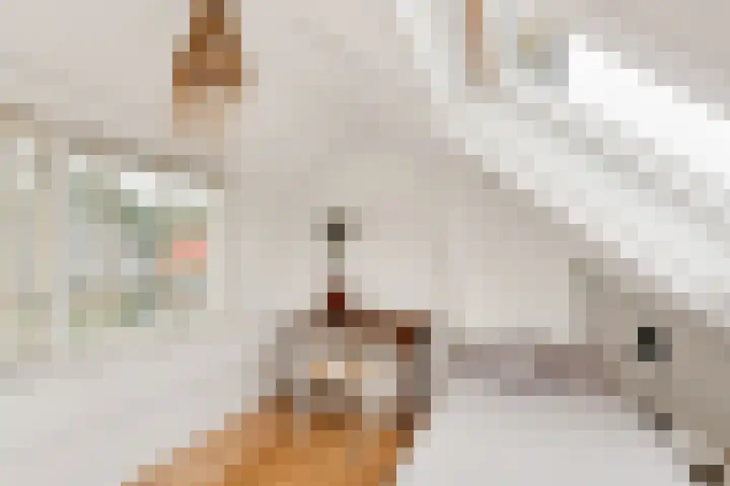 Windvang 7 Blaricum thumbnail 9
