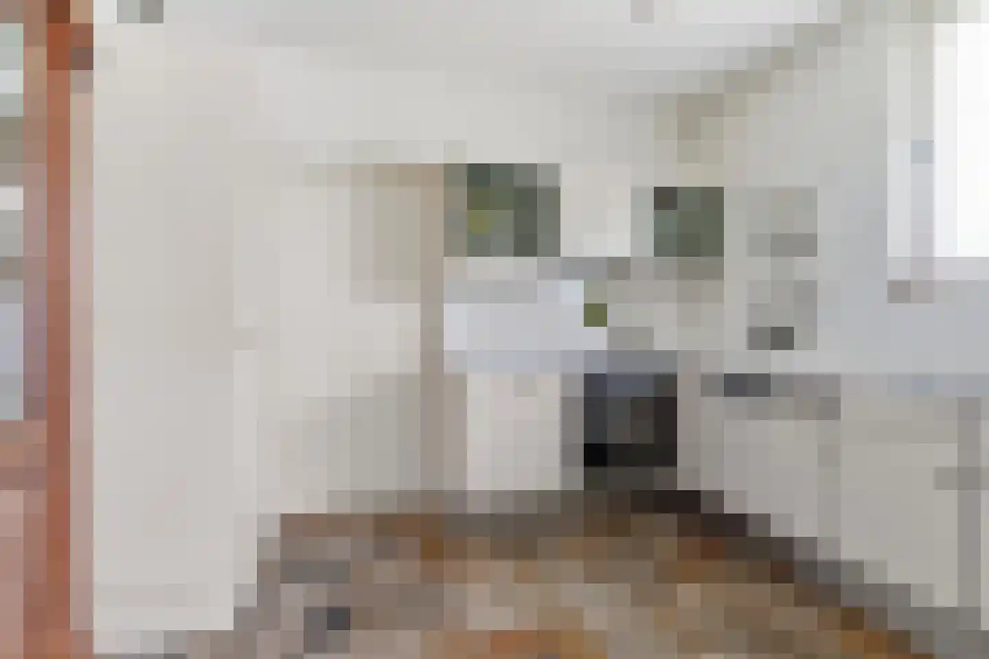 Windvleugel 1 Malden thumbnail 17