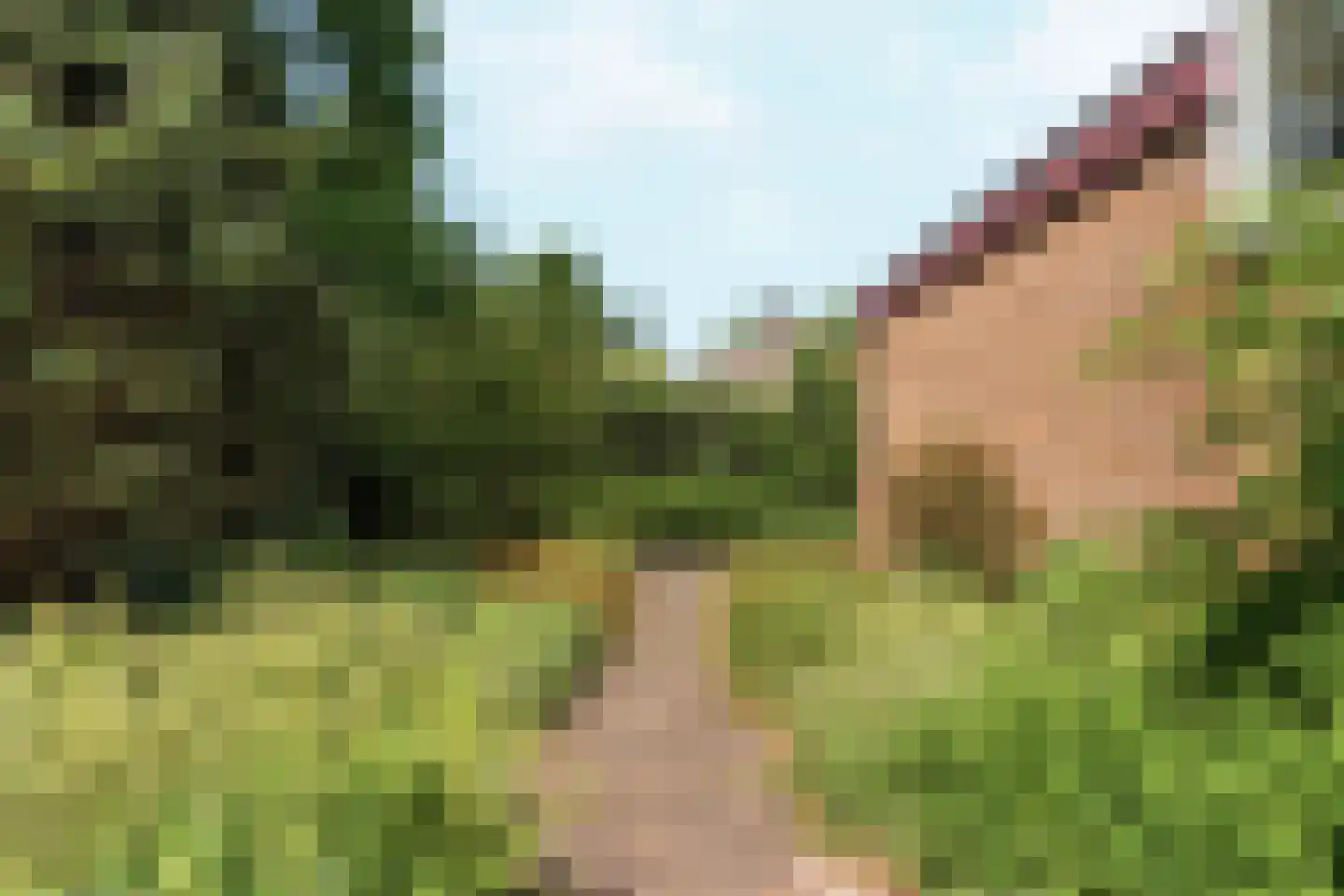 Windvleugel 1 Malden thumbnail 52