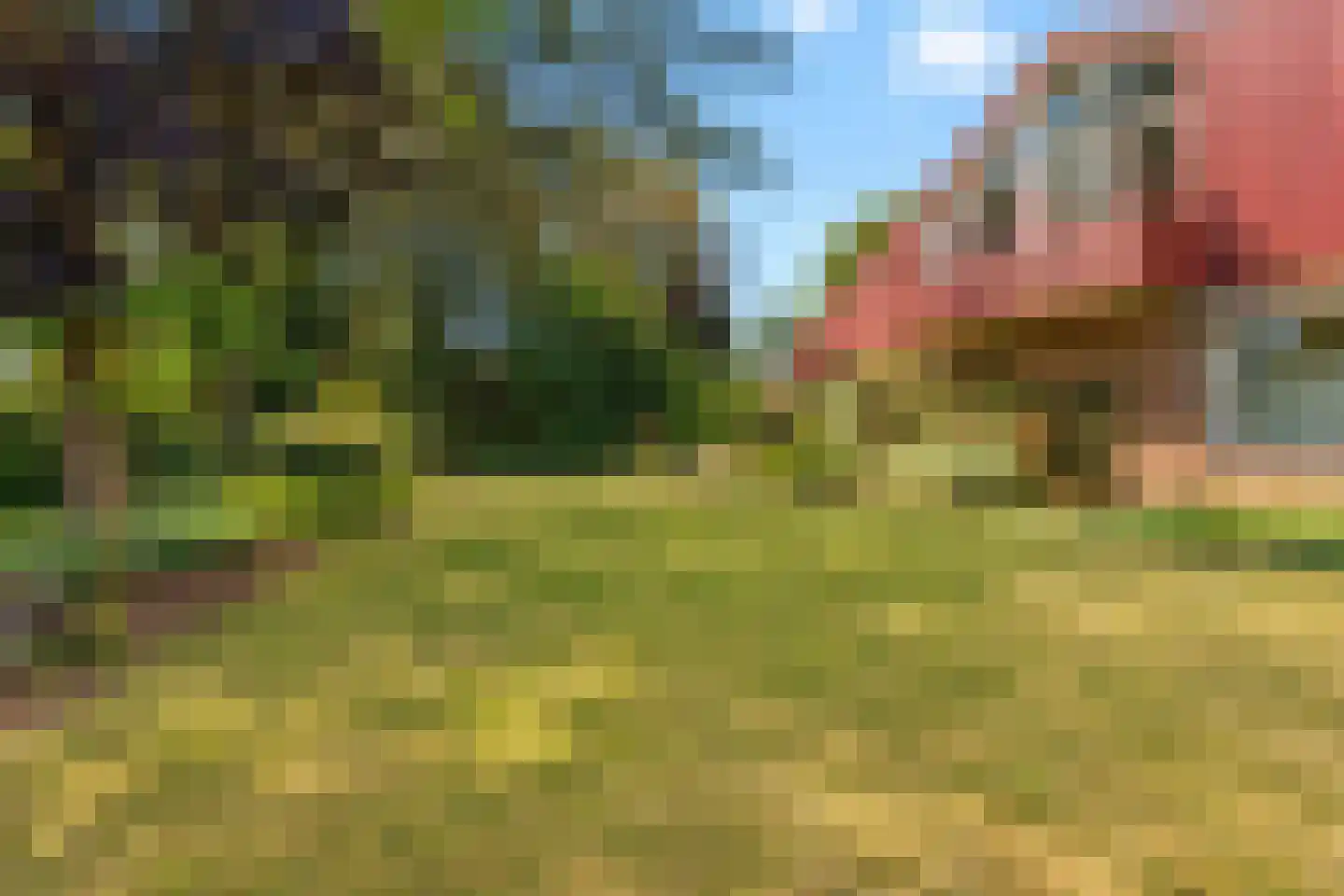 Windvleugel 1 Malden thumbnail 57
