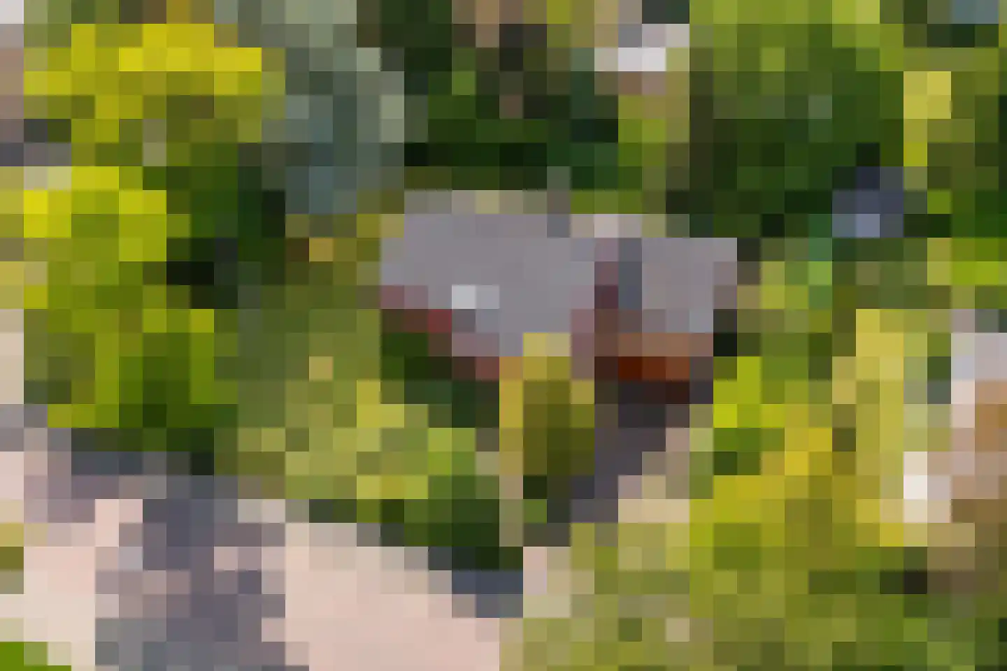 Windvleugel 1 Malden thumbnail 58