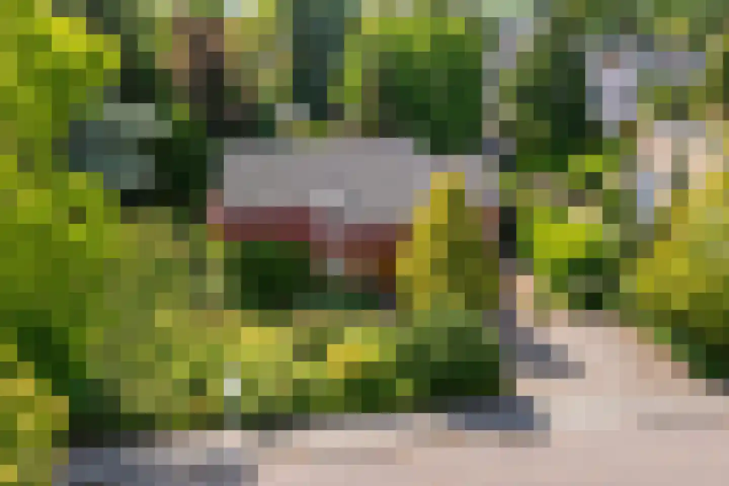 Windvleugel 1 Malden thumbnail 6