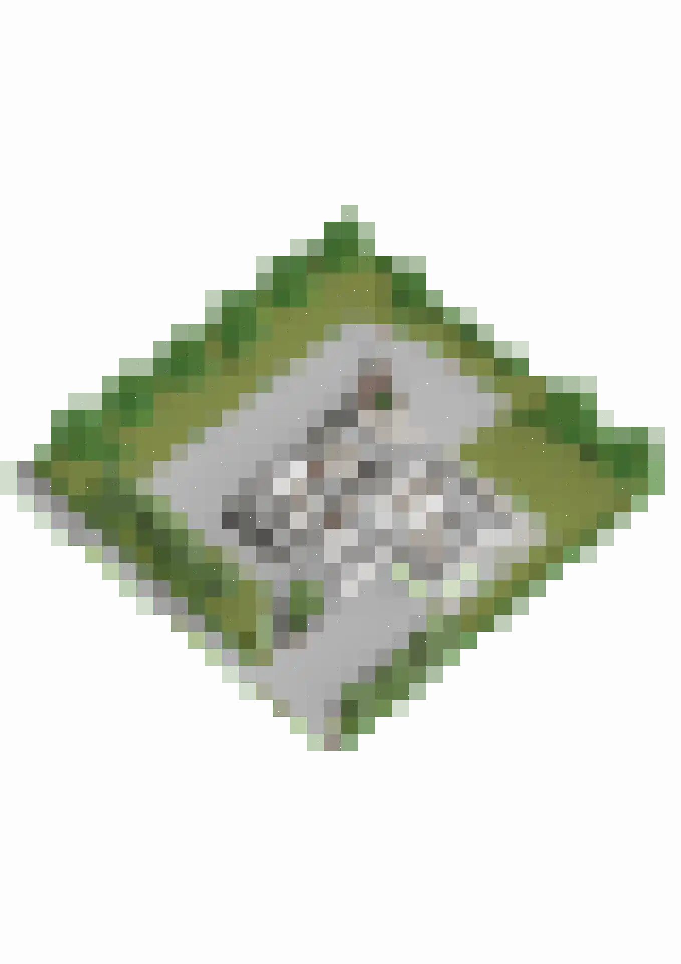 Windvleugel 1 Malden thumbnail 67