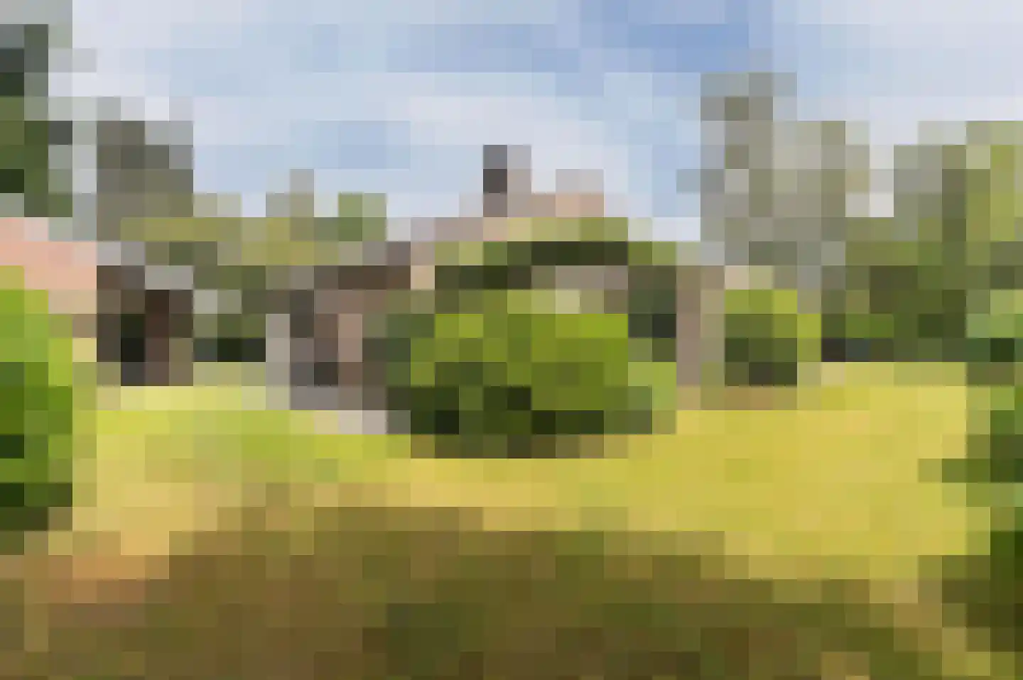 Windvleugel 3 Malden thumbnail 4