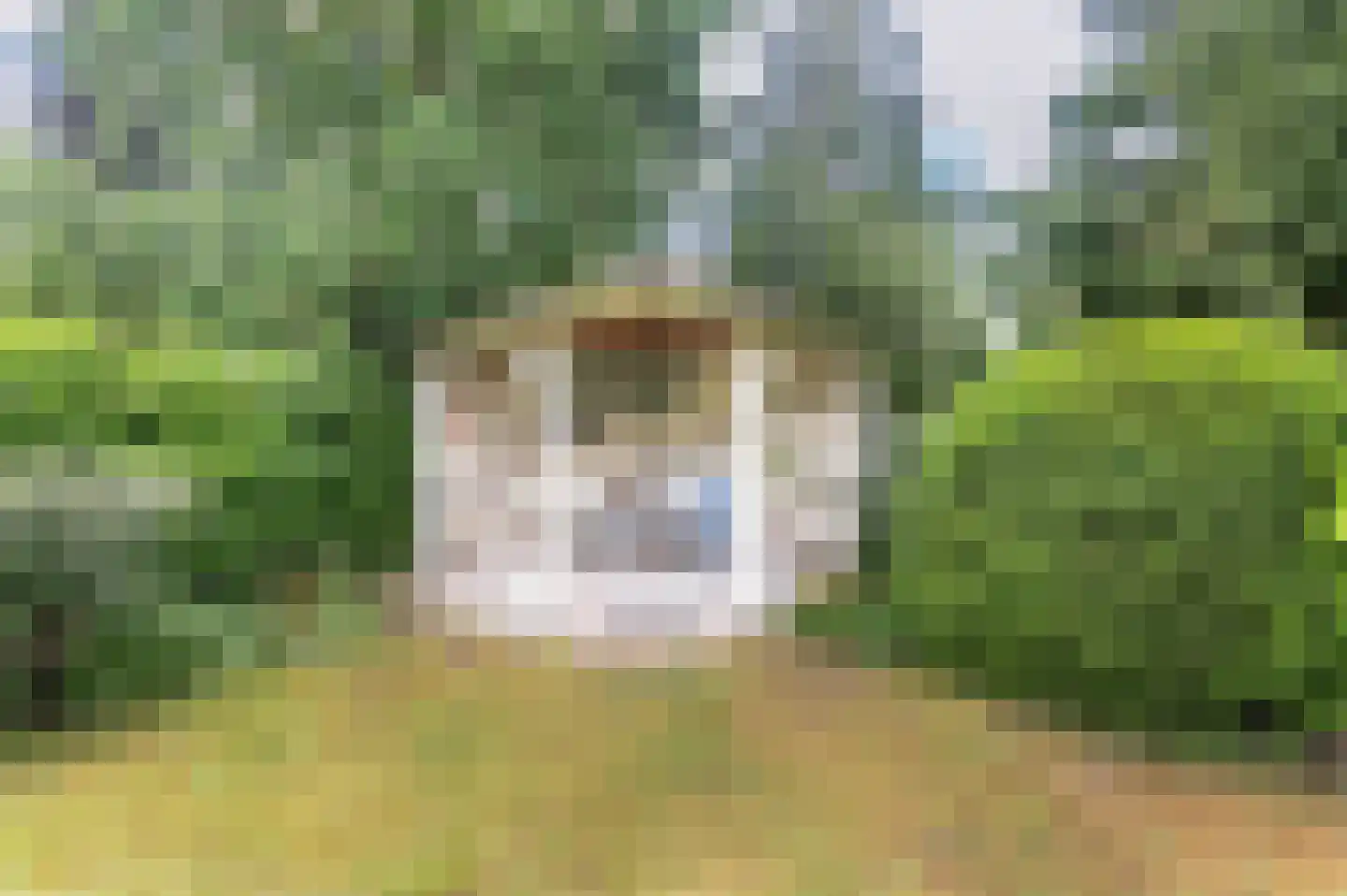 Windvleugel 3 Malden thumbnail 47