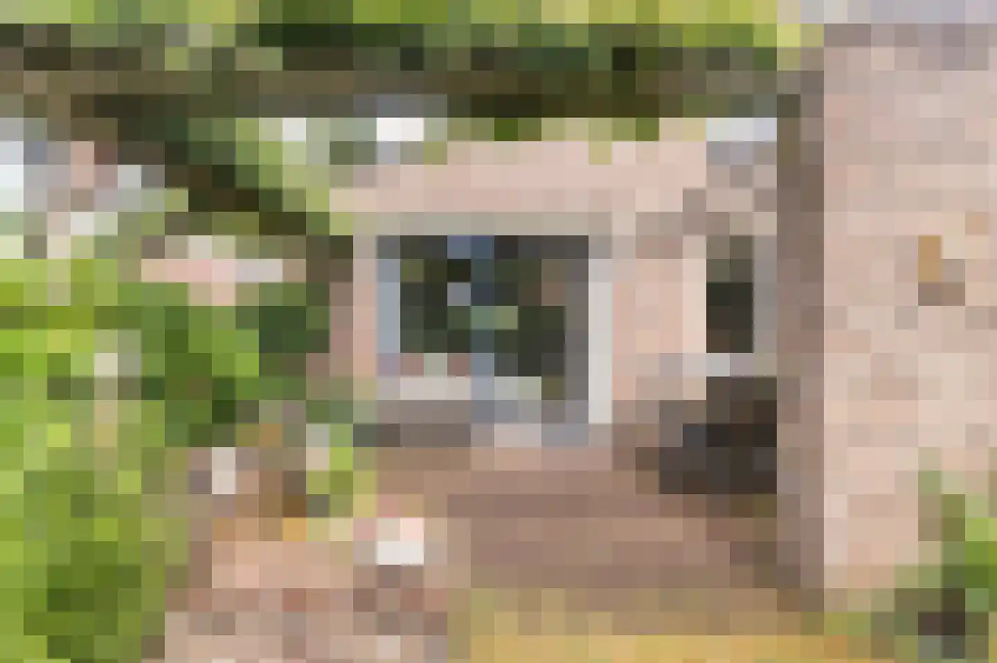 Windvleugel 3 Malden thumbnail 50