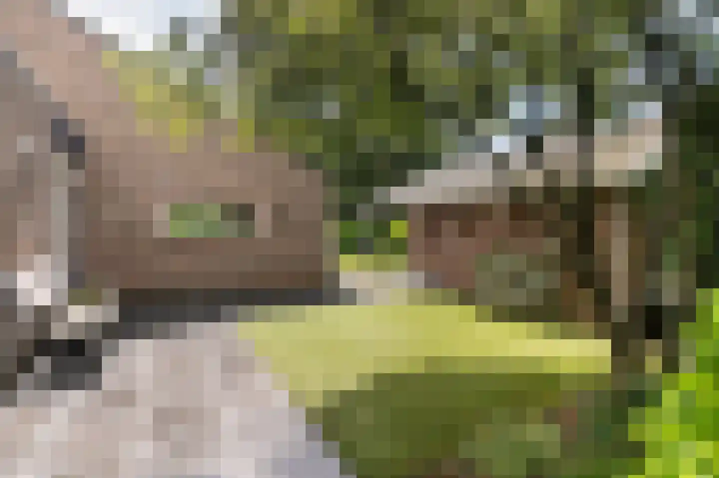 Windvleugel 3 Malden thumbnail 53