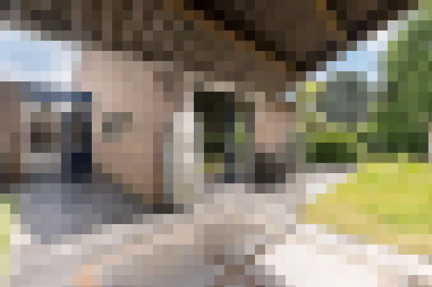 Windvleugel 3 Malden thumbnail 54