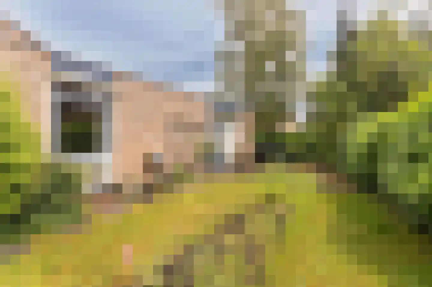 Windvleugel 3 Malden thumbnail 57