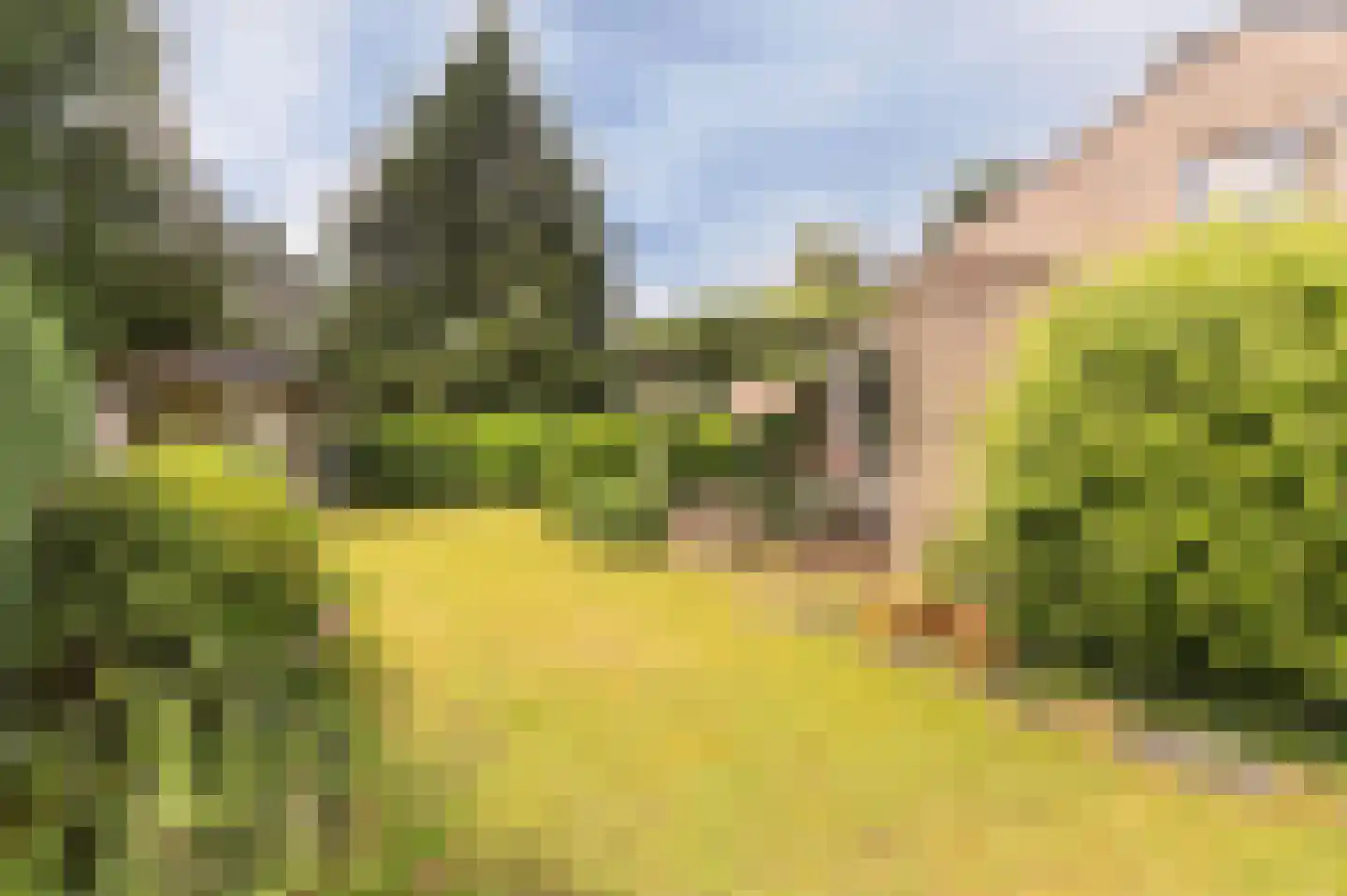 Windvleugel 3 Malden thumbnail 58