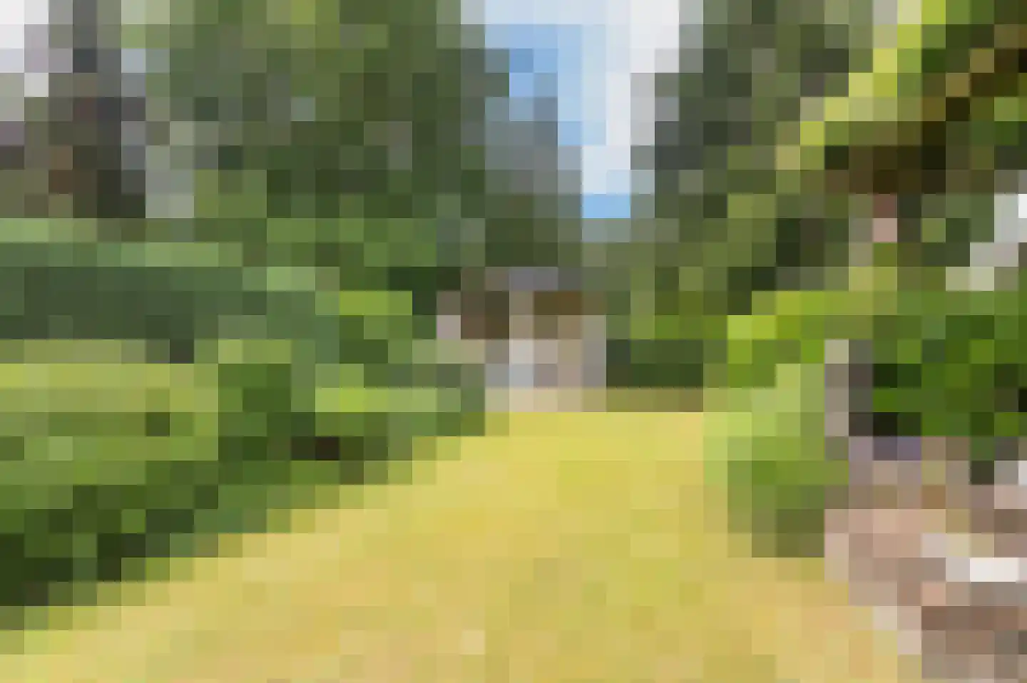 Windvleugel 3 Malden thumbnail 59