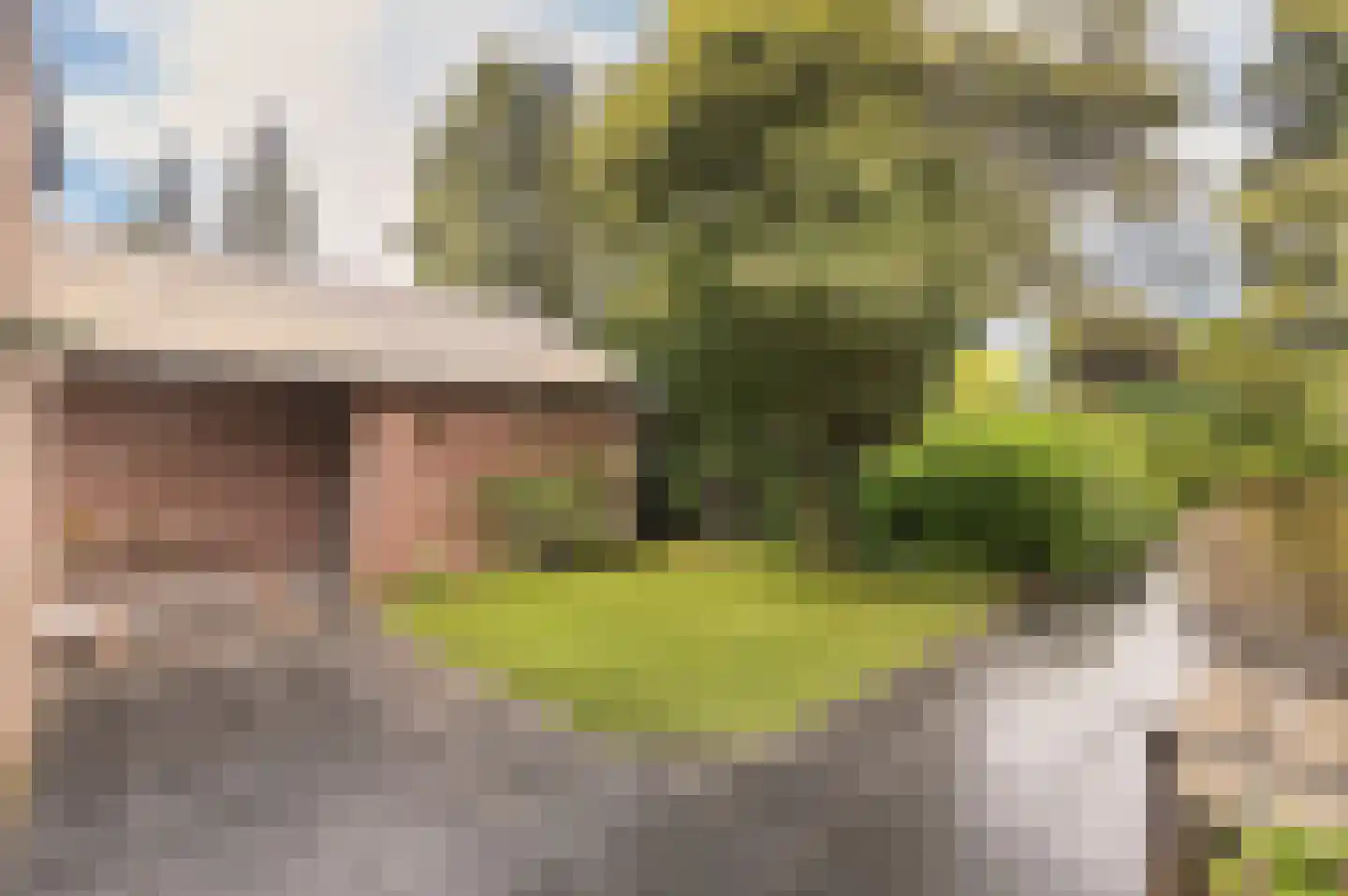 Windvleugel 3 Malden thumbnail 60