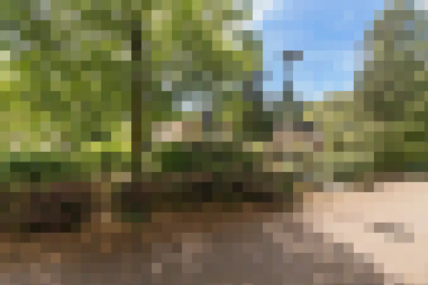 Windvleugel 3 Malden thumbnail 65