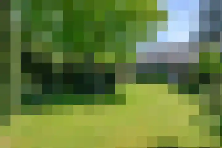 Windvleugel 33 Malden thumbnail 38