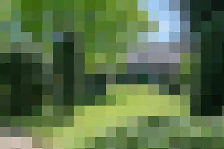 Windvleugel 33 Malden thumbnail 41