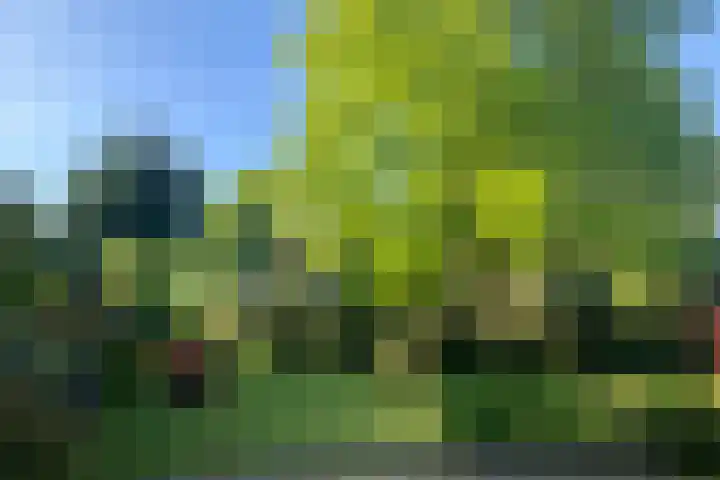 Windvleugel 33 Malden thumbnail 43