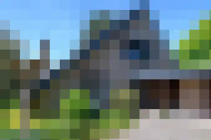 Windvleugel 33 Malden thumbnail 6