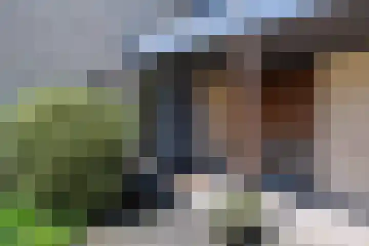 Windvleugel 33 Malden thumbnail 7