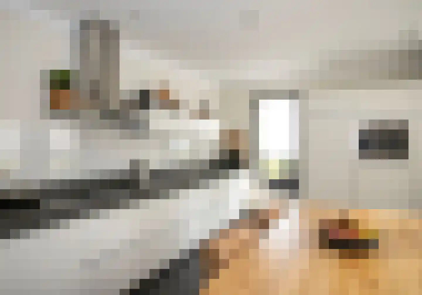 Windwijzer 2 Nistelrode thumbnail 9