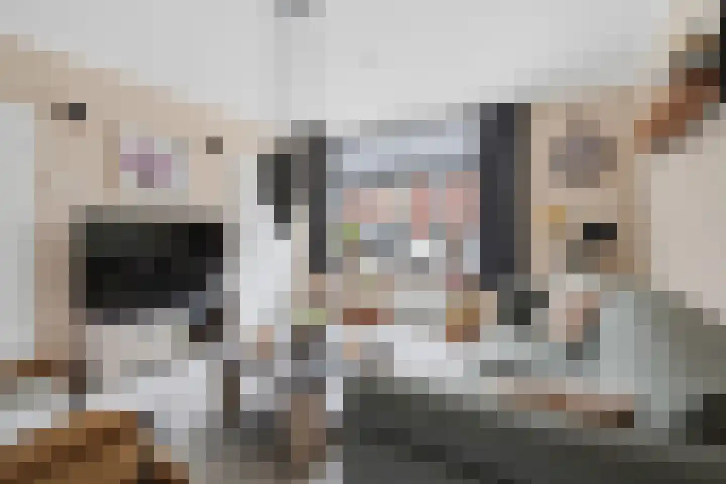 Windwijzer 34 Middelburg thumbnail 12