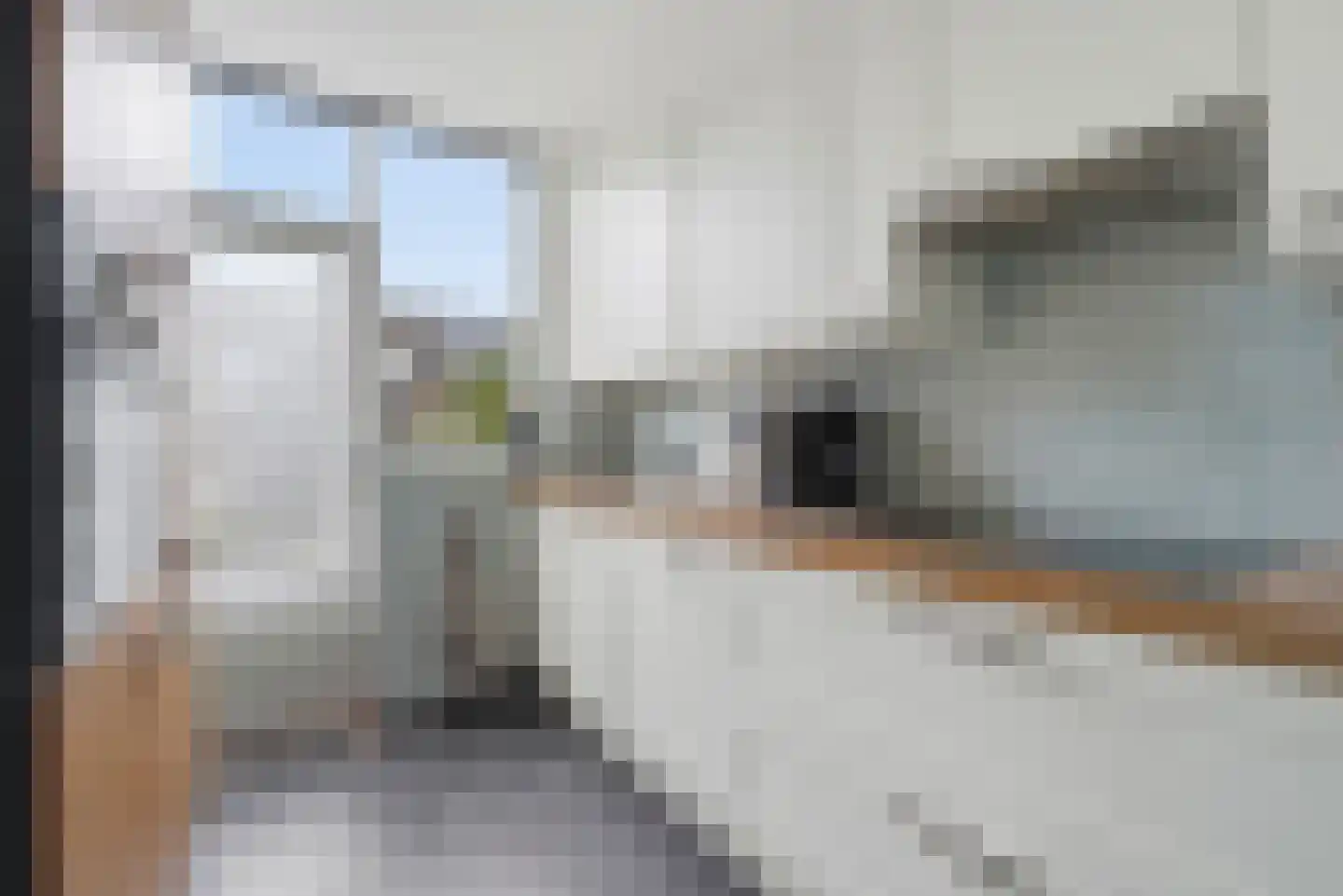 Windwijzer 34 Middelburg thumbnail 13