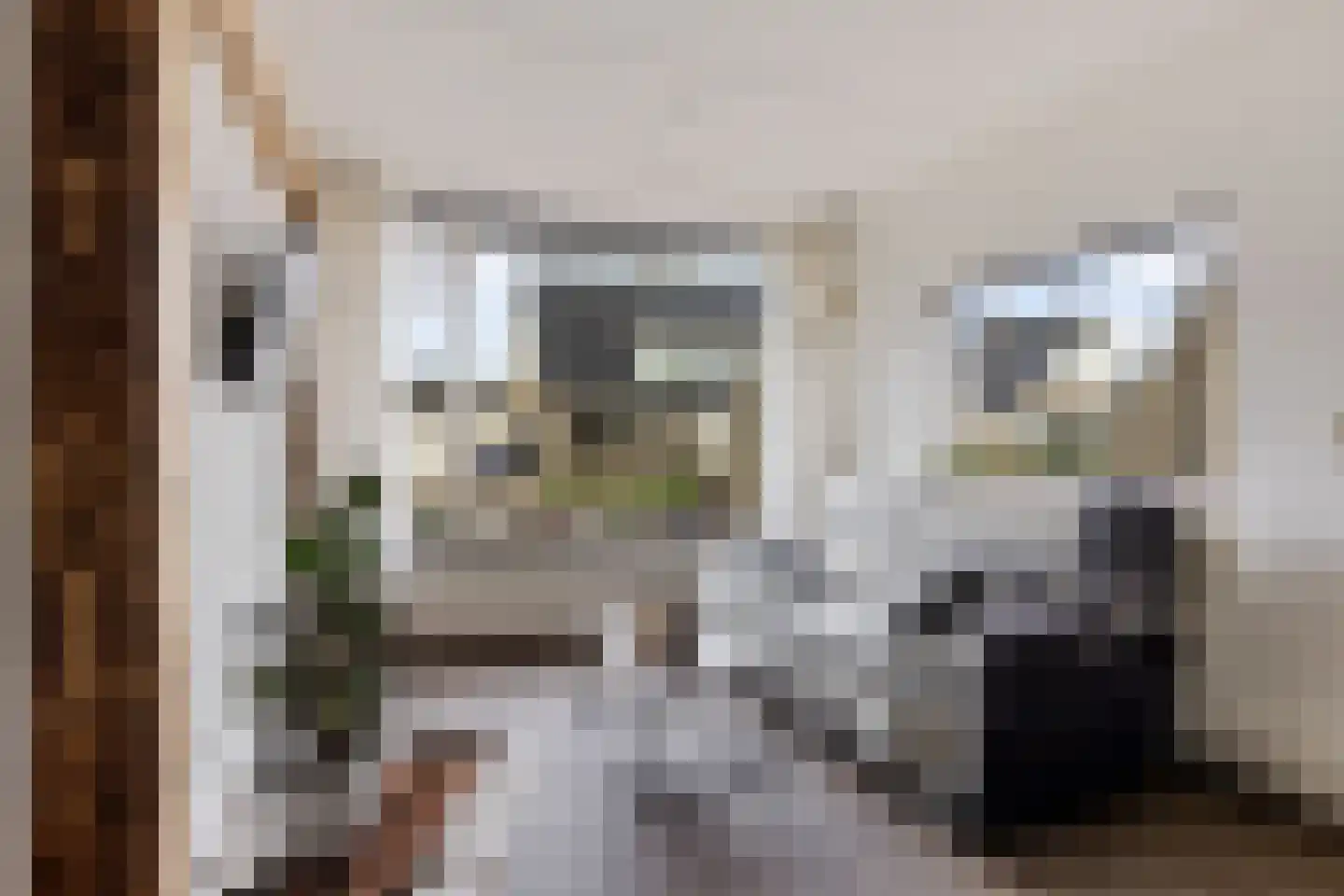 Wine 5 Ureterp thumbnail 10