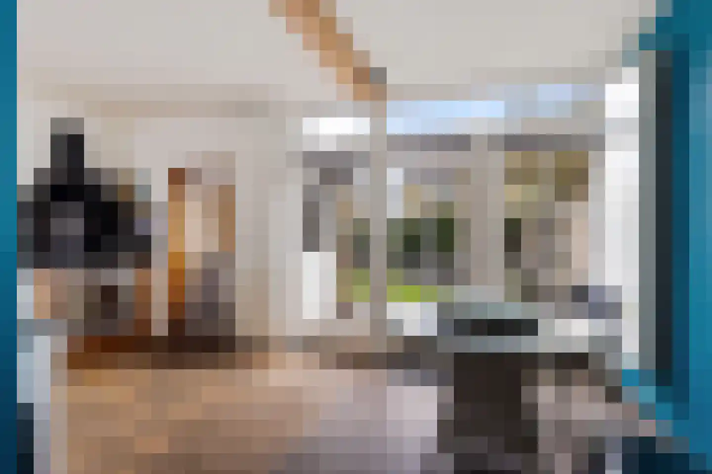 Wine 5 Ureterp thumbnail 14