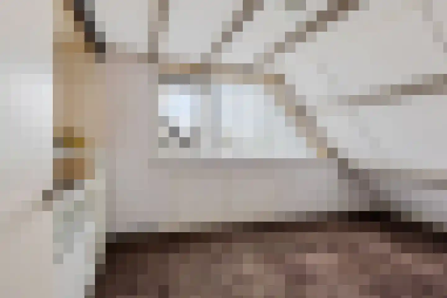 Wine 5 Ureterp thumbnail 21