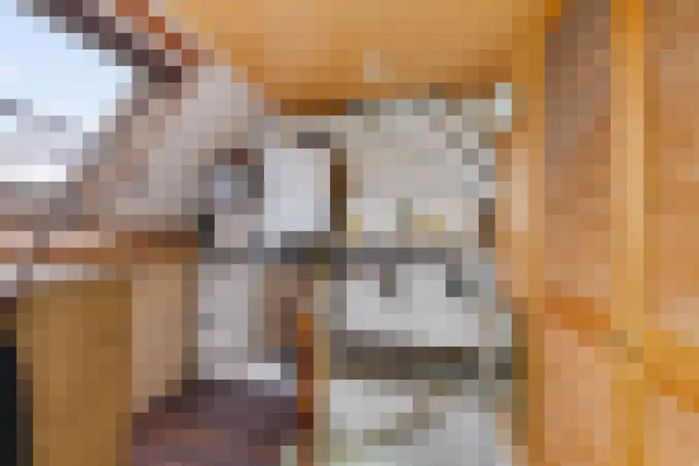 Wine 5 Ureterp thumbnail 29
