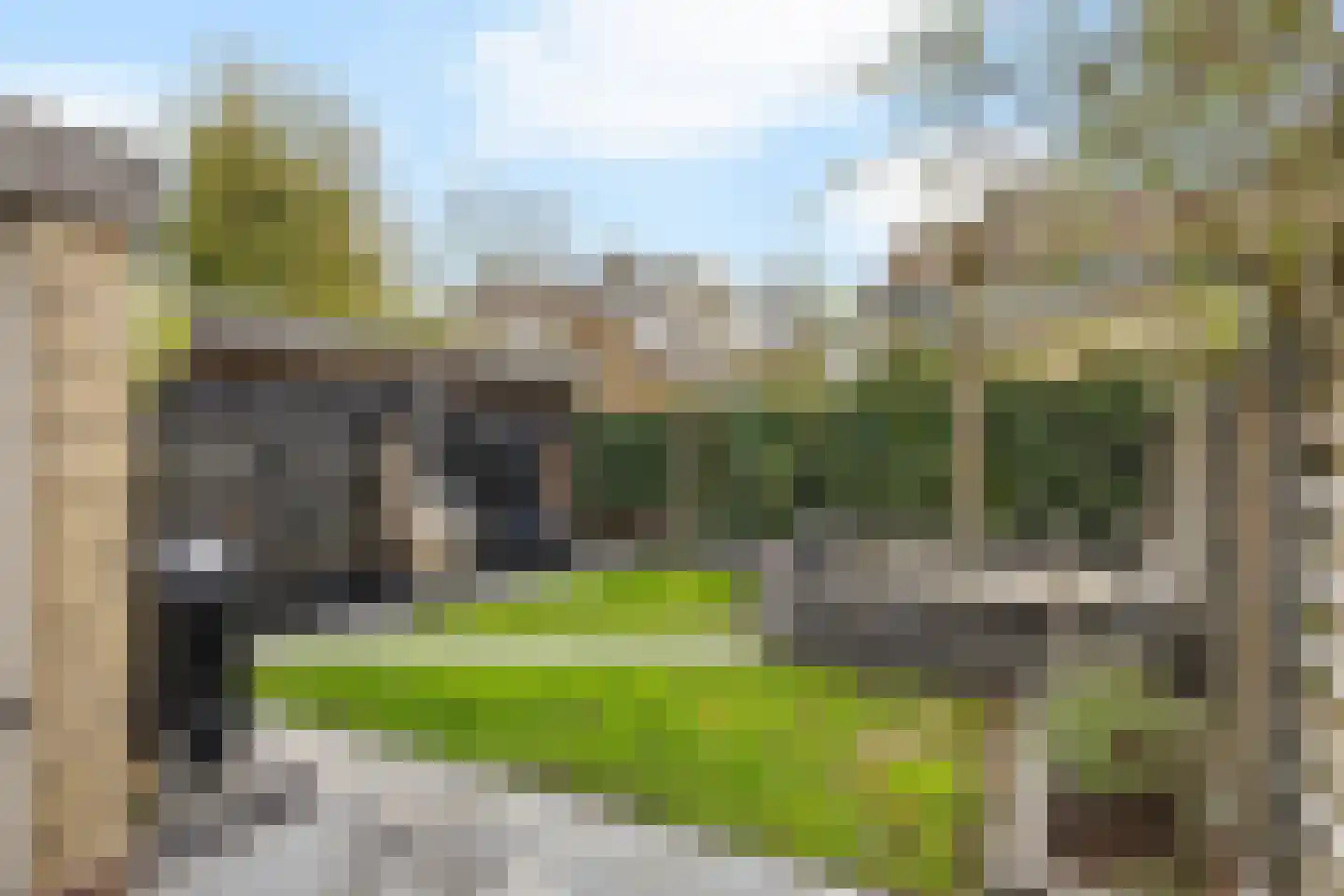 Wine 5 Ureterp thumbnail 31