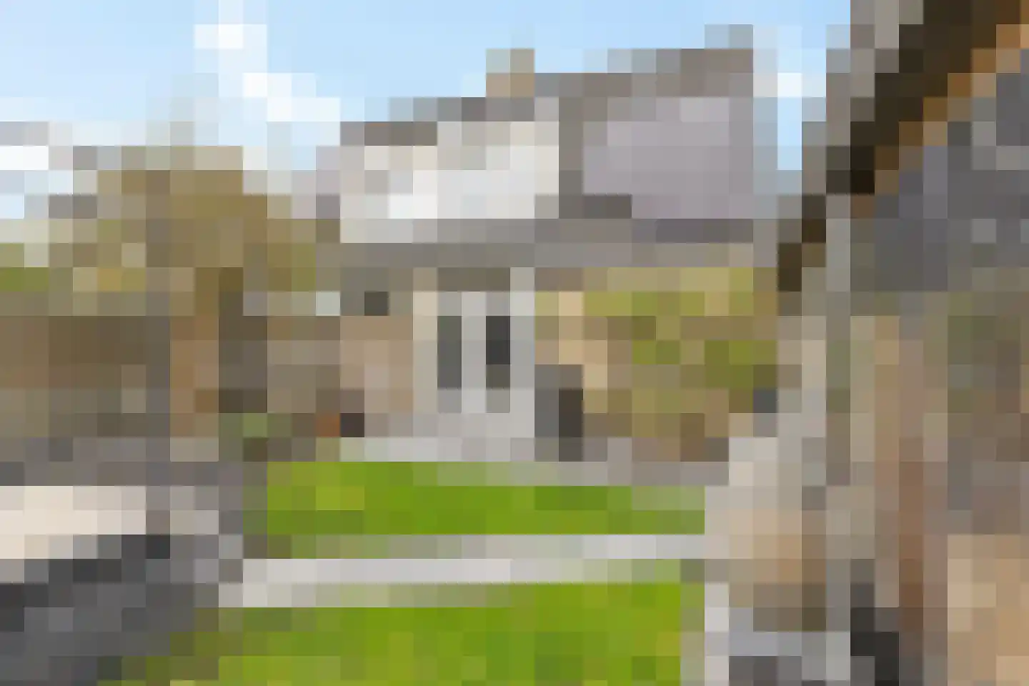 Wine 5 Ureterp thumbnail 33